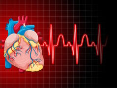 https://www.freepik.com/free-vector/heartbeat-with-heart-rate-graph_26349258.htm#query=coronary%20artery%20disease&position=24&from_view=search&track=ais