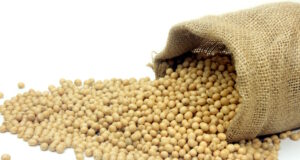 https://www.vecteezy.com/photo/4547421-raw-soy-beans-fresh-and-organic-food-rustic-bag-inside-isolated-on-white-background