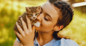 https://www.freepik.com/free-photo/beautiful-cute-girl-blue-dresses-with-beautiful-hairstyles-make-up-sitting_2612015.htm#query=cat%20lover&position=35&from_view=search&track=ais