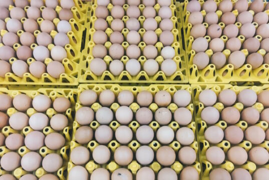 https://www.freepik.com/premium-photo/brown-raw-chicken-eggs-yellow-egg-tray-cardboard-with-room-eggs-pile-egg-box_25522353.htm#query=many%20egg%20cartons&position=14&from_view=search&track=ais