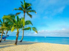 https://www.freepik.com/premium-photo/coconut-tree-sky-background_25821175.htm#query=beaches&position=7&from_view=search&track=sph