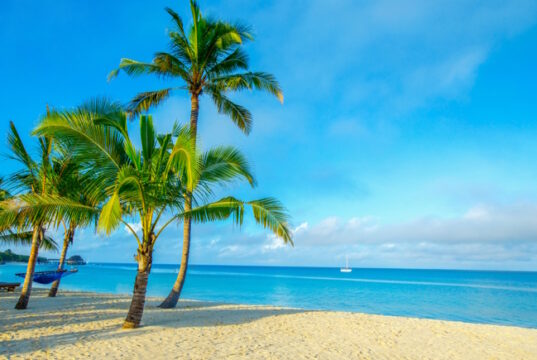 https://www.freepik.com/premium-photo/coconut-tree-sky-background_25821175.htm#query=beaches&position=7&from_view=search&track=sph