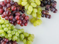 https://www.freepik.com/free-photo/different-ripe-grapes-flat-lay-white_10183612.htm#query=grape%20mix&position=48&from_view=search&track=ais