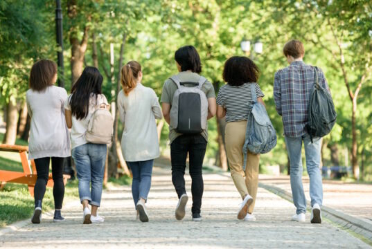 https://www.freepik.com/free-photo/multiethnic-group-young-students_7730655.htm#query=young%20adults&position=29&from_view=search&track=sph