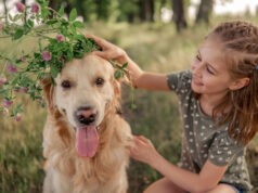 https://www.freepik.com/premium-photo/preteen-girl-with-golden-retriever-outdoors_25787128.htm?query=pet%20dog&collectionId=325&&position=7&from_view=collections