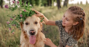 https://www.freepik.com/premium-photo/preteen-girl-with-golden-retriever-outdoors_25787128.htm?query=pet%20dog&collectionId=325&&position=7&from_view=collections
