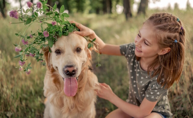 https://www.freepik.com/premium-photo/preteen-girl-with-golden-retriever-outdoors_25787128.htm?query=pet%20dog&collectionId=325&&position=7&from_view=collections