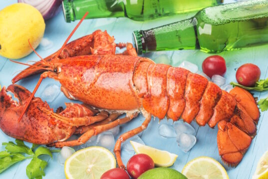 https://www.freepik.com/free-photo/seafood-feastlemon-fresh-boston-lobster-ice_15763258.htm#query=fresh%20lobster&position=3&from_view=search&track=ais