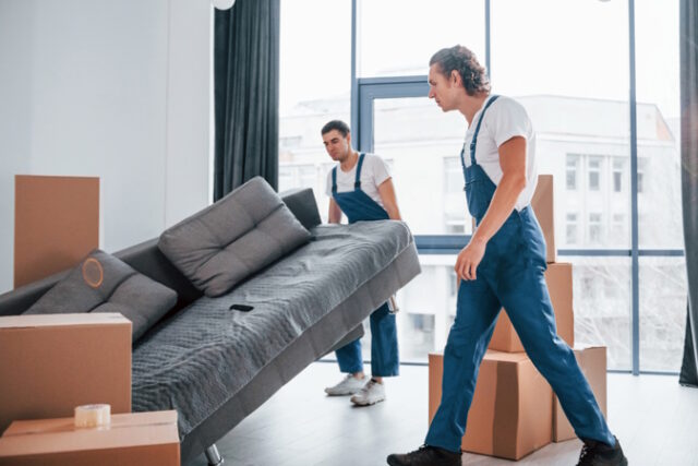 https://www.vecteezy.com/photo/15463674-busy-day-two-young-movers-in-blue-uniform-working-indoors-in-the-room