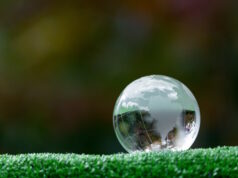 https://www.vecteezy.com/photo/15902692-close-up-of-crystal-globe-resting-on-grass-in-a-forest-environment-concept