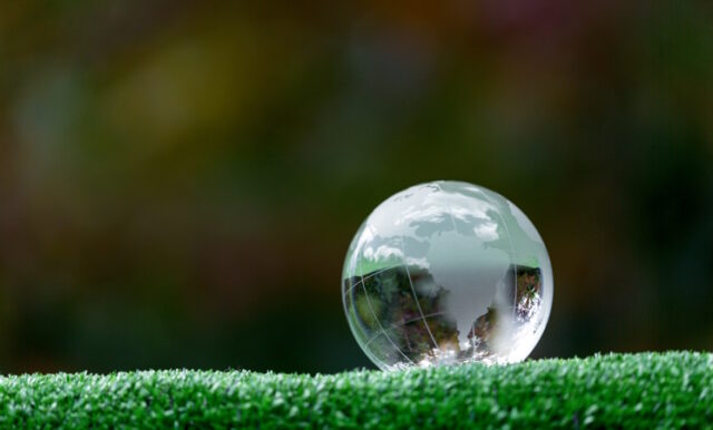 Close up of crystal globe resting on grass in a forest - environment concept https://www.vecteezy.com/photo/15902692-close-up-of-crystal-globe-resting-on-grass-in-a-forest-environment-concept