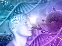 https://www.freepik.com/free-photo/3d-medical-background-with-male-head-brain-dna-strands-virus-cells_3766801.htm?query=myeloma#from_view=detail_alsolike
