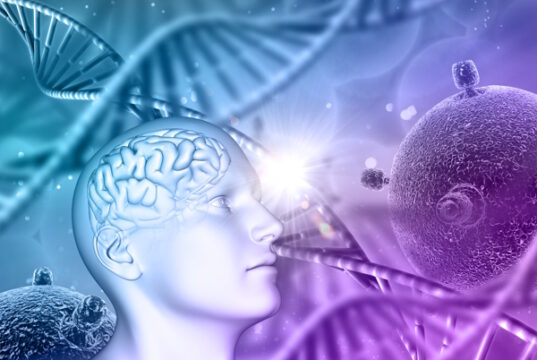 https://www.freepik.com/free-photo/3d-medical-background-with-male-head-brain-dna-strands-virus-cells_3766801.htm?query=myeloma#from_view=detail_alsolike