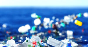 https://www.freepik.com/premium-photo/3d-rendering-problem-plastic-bottles-microplastics-floating-ocean_31666670.htm#query=ocean%20plastic%20pollution&position=46&from_view=search&track=ais