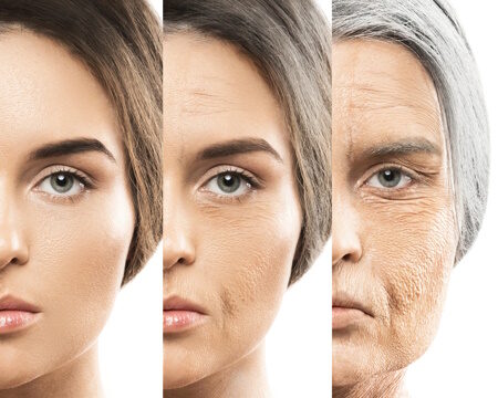https://www.freepik.com/premium-photo/aging-concept-young-old-comparision_7396107.htm#query=aging&position=31&from_view=search&track=sph