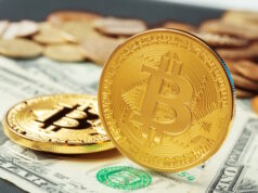 https://www.freepik.com/free-photo/bitcoin-dollar_20989895.htm#query=bitcoin%20market&position=14&from_view=search&track=ais