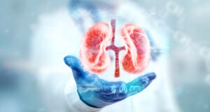 https://www.freepik.com/premium-photo/doctor-looks-kidney-hologram-checks-test-result-virtual-interface-analyzes-data-kidney-disease-stones-innovative-technologies-medicine-future_17204735.htm#page=2&query=kidney%20cancer&position=46&from_view=search&track=ais
