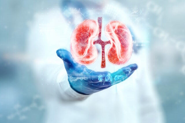 https://www.freepik.com/premium-photo/doctor-looks-kidney-hologram-checks-test-result-virtual-interface-analyzes-data-kidney-disease-stones-innovative-technologies-medicine-future_17204735.htm#page=2&query=kidney%20cancer&position=46&from_view=search&track=ais