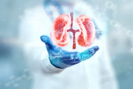 https://www.freepik.com/premium-photo/doctor-looks-kidney-hologram-checks-test-result-virtual-interface-analyzes-data-kidney-disease-stones-innovative-technologies-medicine-future_17204735.htm#query=kidney%20disease&position=9&from_view=search&track=ais