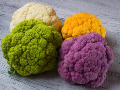 https://www.freepik.com/free-photo/rainbow-organic-cauliflower-from-local-market_1188306.htm#page=2&query=cauliflower&position=7&from_view=search&track=sph