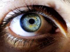 https://www.freepik.com/free-photo/beautiful-closeup-shot-female-human-s-deep-blue-eyes_7899916.htm#query=closeup%20eye&position=5&from_view=search&track=ais
