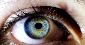 https://www.freepik.com/free-photo/beautiful-closeup-shot-female-human-s-deep-blue-eyes_7899916.htm#query=closeup%20eye&position=5&from_view=search&track=ais