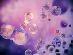 https://www.freepik.com/free-photo/beautiful-fertility-concept-3d-rendering_21535862.htm#query=stem%20cell&position=6&from_view=search&track=ais