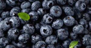 https://www.freepik.com/free-photo/closeup-vertical-shot-blueberries-with-water-droplets-leaves_7678445.htm#query=blueberries&position=4&from_view=search&track=sph