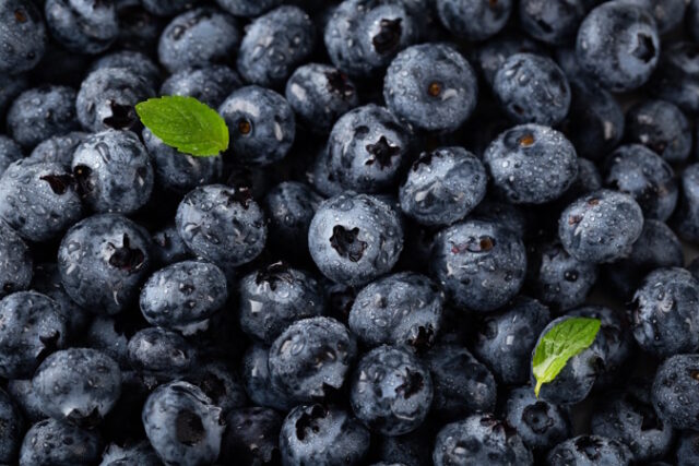 https://www.freepik.com/free-photo/closeup-vertical-shot-blueberries-with-water-droplets-leaves_7678445.htm#query=blueberries&position=4&from_view=search&track=sph