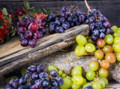 https://www.freepik.com/free-photo/sprig-grapes-wooden-background_9045571.htm#query=grapes&position=15&from_view=search&track=robertav1_2_sidr