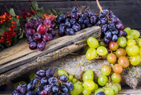 https://www.freepik.com/free-photo/sprig-grapes-wooden-background_9045571.htm#query=grapes&position=15&from_view=search&track=robertav1_2_sidr