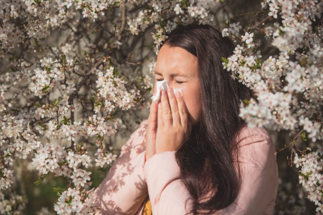 Spring allergy symptoms concept, young woman sneezing in front o https://www.freepik.com/premium-photo/spring-allergy-symptoms-concept-young-woman-sneezing-front-blooming-tree-allergy-pollen-flowering-season-healthcare_15028497.htm#query=spring%20allergies&position=22&from_view=search&track=ais