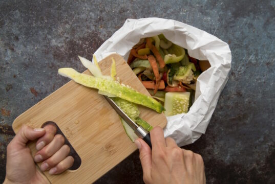 https://www.freepik.com/free-photo/top-view-trash-cooking-concept_16920939.htm#query=food%20in%20trash&position=28&from_view=search&track=ais