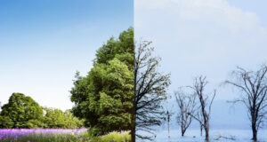 https://www.freepik.com/free-photo/climate-change-concept-collage_19332541.htm#query=environmental%20change&position=1&from_view=search&track=ais