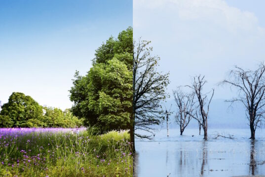 https://www.freepik.com/free-photo/climate-change-concept-collage_19332541.htm#query=environmental%20change&position=1&from_view=search&track=ais