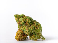 THCA Flower