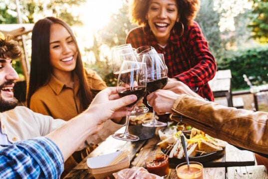 https://www.freepik.com/premium-photo/group-friends-having-fun-bbq-dinner-garden-restaurant-multiracial-people-cheering-red-wine-sitting-outside-bar-table-social-gathering-youth-beverage-lifestyle-concept_31610181.htm#query=barbecue%20wine&position=13&from_view=search&track=ais