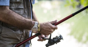 https://www.freepik.com/free-photo/man-fishing-by-lake_2895075.htm#page=2&query=bass%20fishing&position=34&from_view=search&track=ais