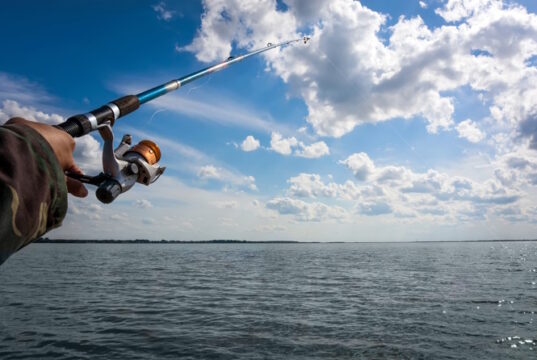 https://www.freepik.com/premium-photo/man-hand-with-fishing-rod_34639663.htm#query=key%20west%20fishing&position=24&from_view=search&track=ais
