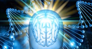 https://www.freepik.com/free-photo/3d-medical-background-with-female-figure-with-brain-highlighted-dna-strands_2970318.htm#page=4&query=cognitive%20ability&position=19&from_view=search&track=locales