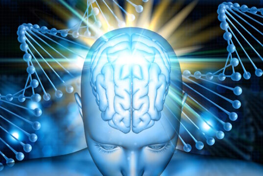 https://www.freepik.com/free-photo/3d-medical-background-with-female-figure-with-brain-highlighted-dna-strands_2970318.htm#page=4&query=cognitive%20ability&position=19&from_view=search&track=locales