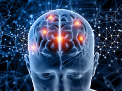 https://www.freepik.com/free-photo/3d-medical-figure-with-brain-highlighted_2699723.htm#query=alzheimers%20brain&position=29&from_view=search&track=locales