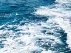 https://www.freepik.com/free-photo/background-foamy-sea_27191629.htm#query=king%20tides&position=40&from_view=search&track=ais