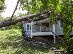 https://www.freepik.com/premium-photo/falling-tree-after-hard-storm-damage-house_2212145.htm#query=tree%20damaged%20house&position=13&from_view=search&track=ais