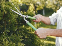 https://www.freepik.com/free-photo/man-trimming-bough-brush-guy-works-backyard_10884750.htm#page=2&query=DIY%20outdoor&position=44&from_view=search&track=ais
