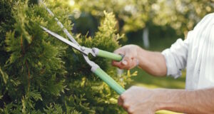 https://www.freepik.com/free-photo/man-trimming-bough-brush-guy-works-backyard_10884750.htm#page=2&query=DIY%20outdoor&position=44&from_view=search&track=ais