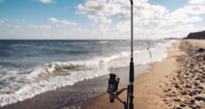https://www.freepik.com/free-photo/several-fishing-rods-row-beach_6060177.htm#page=2&query=fishing&position=2&from_view=search&track=sph