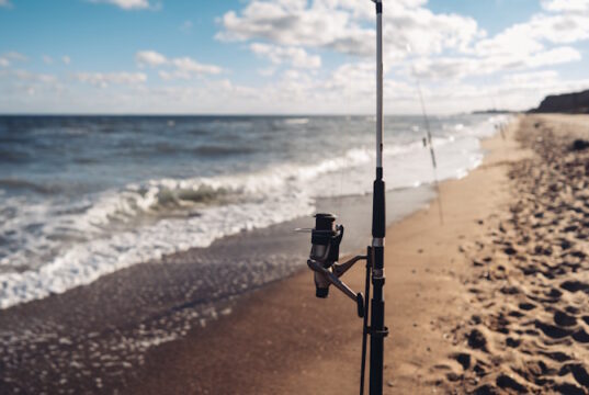 https://www.freepik.com/free-photo/several-fishing-rods-row-beach_6060177.htm#page=2&query=fishing&position=2&from_view=search&track=sph