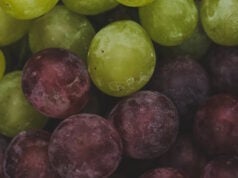 https://www.freepik.com/free-photo/delicious-grapes_6356340.htm#page=2&query=dropped%20grapes&position=6&from_view=search&track=ais
