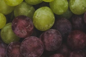 https://www.freepik.com/free-photo/delicious-grapes_6356340.htm#page=2&query=dropped%20grapes&position=6&from_view=search&track=ais
